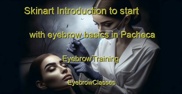Skinart Introduction to start with eyebrow basics in Pacheca | EyebrowTraining | EyebrowClasses | SkinartTraining-Brazil