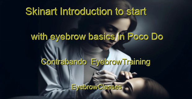 Skinart Introduction to start with eyebrow basics in Poco Do Contrabando | EyebrowTraining | EyebrowClasses | SkinartTraining-Brazil