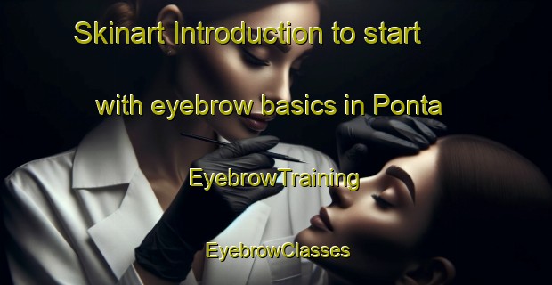 Skinart Introduction to start with eyebrow basics in Ponta | EyebrowTraining | EyebrowClasses | SkinartTraining-Brazil