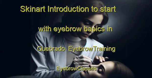 Skinart Introduction to start with eyebrow basics in Quebrado | EyebrowTraining | EyebrowClasses | SkinartTraining-Brazil