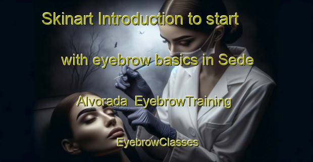 Skinart Introduction to start with eyebrow basics in Sede Alvorada | EyebrowTraining | EyebrowClasses | SkinartTraining-Brazil