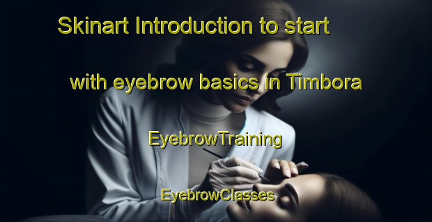 Skinart Introduction to start with eyebrow basics in Timbora | EyebrowTraining | EyebrowClasses | SkinartTraining-Brazil