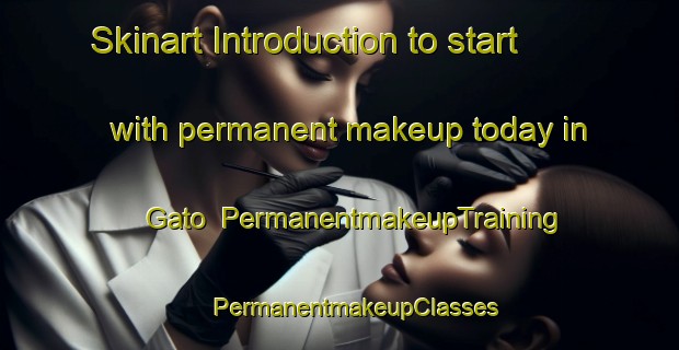 Skinart Introduction to start with permanent makeup today in Gato | #PermanentmakeupTraining #PermanentmakeupClasses #SkinartTraining-Brazil