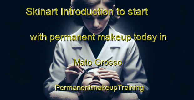 Skinart Introduction to start with permanent makeup today in Mato Grosso | PermanentmakeupTraining | PermanentmakeupClasses | SkinartTraining-Brazil