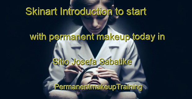 Skinart Introduction to start with permanent makeup today in Sitio Josefa Sabatike | PermanentmakeupTraining | PermanentmakeupClasses | SkinartTraining-Brazil