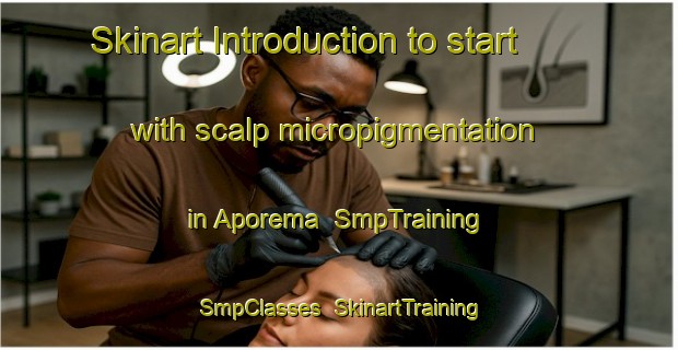 Skinart Introduction to start with scalp micropigmentation in Aporema | SmpTraining | SmpClasses | SkinartTraining-Brazil