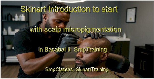 Skinart Introduction to start with scalp micropigmentation in Bacabal Ii | SmpTraining | SmpClasses | SkinartTraining-Brazil