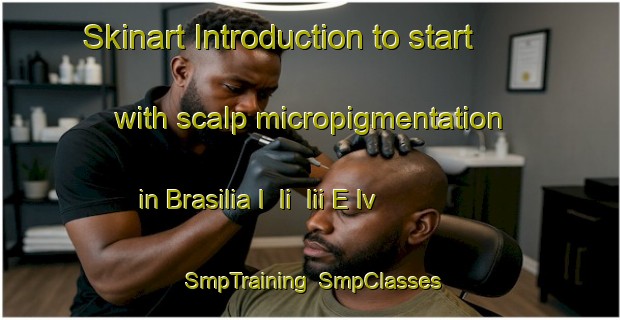 Skinart Introduction to start with scalp micropigmentation in Brasilia I  Ii  Iii E Iv | SmpTraining | SmpClasses | SkinartTraining-Brazil