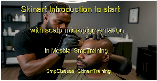 Skinart Introduction to start with scalp micropigmentation in Mesbla | SmpTraining | SmpClasses | SkinartTraining-Brazil