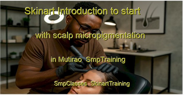 Skinart Introduction to start with scalp micropigmentation in Mutirao | SmpTraining | SmpClasses | SkinartTraining-Brazil