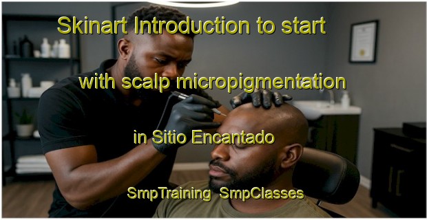 Skinart Introduction to start with scalp micropigmentation in Sitio Encantado | SmpTraining | SmpClasses | SkinartTraining-Brazil