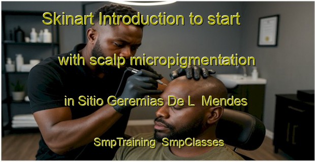 Skinart Introduction to start with scalp micropigmentation in Sitio Geremias De L  Mendes | SmpTraining | SmpClasses | SkinartTraining-Brazil