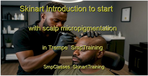 Skinart Introduction to start with scalp micropigmentation in Trempe | SmpTraining | SmpClasses | SkinartTraining-Brazil