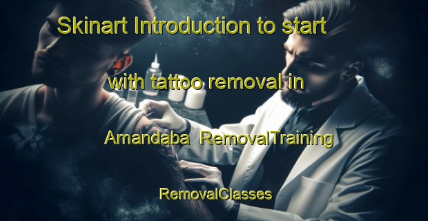 Skinart Introduction to start with tattoo removal in Amandaba | RemovalTraining | RemovalClasses | SkinartTraining-Brazil