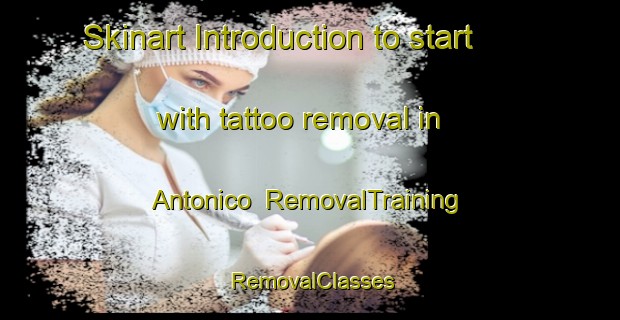 Skinart Introduction to start with tattoo removal in Antonico | RemovalTraining | RemovalClasses | SkinartTraining-Brazil