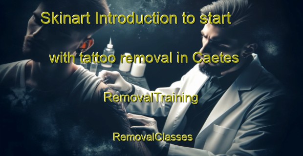 Skinart Introduction to start with tattoo removal in Caetes | RemovalTraining | RemovalClasses | SkinartTraining-Brazil