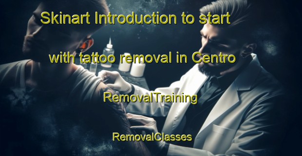 Skinart Introduction to start with tattoo removal in Centro | RemovalTraining | RemovalClasses | SkinartTraining-Brazil
