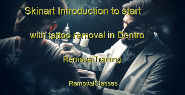 Skinart Introduction to start with tattoo removal in Dentro | RemovalTraining | RemovalClasses | SkinartTraining-Brazil