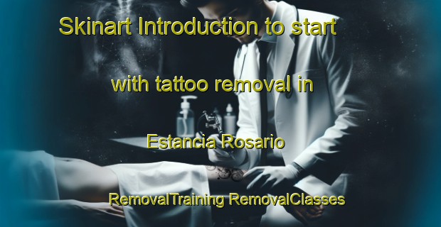 Skinart Introduction to start with tattoo removal in Estancia Rosario | #RemovalTraining #RemovalClasses #SkinartTraining-Brazil