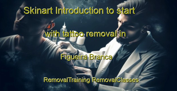 Skinart Introduction to start with tattoo removal in Figueira Branca | #RemovalTraining #RemovalClasses #SkinartTraining-Brazil