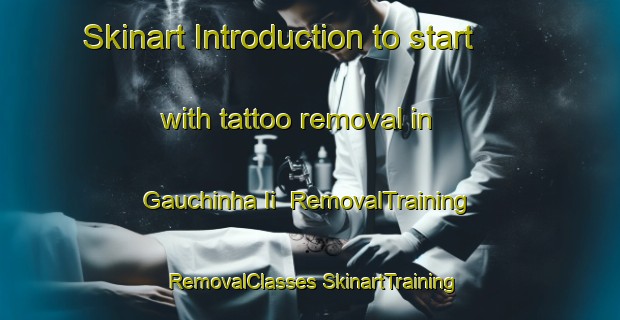 Skinart Introduction to start with tattoo removal in Gauchinha Ii | #RemovalTraining #RemovalClasses #SkinartTraining-Brazil