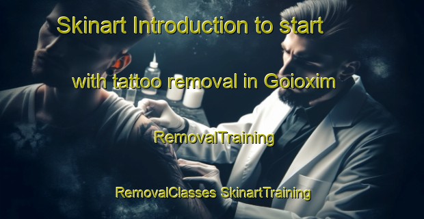 Skinart Introduction to start with tattoo removal in Goioxim | #RemovalTraining #RemovalClasses #SkinartTraining-Brazil