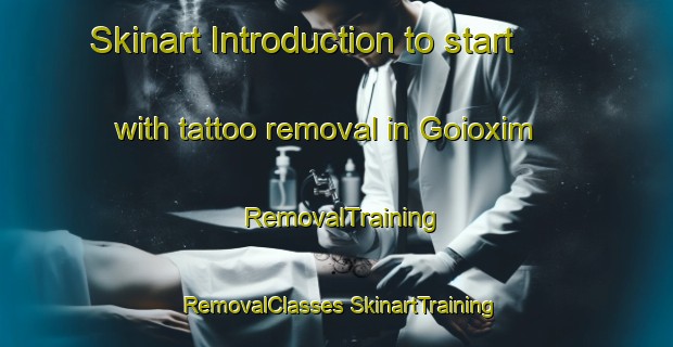 Skinart Introduction to start with tattoo removal in Goioxim | #RemovalTraining #RemovalClasses #SkinartTraining-Brazil