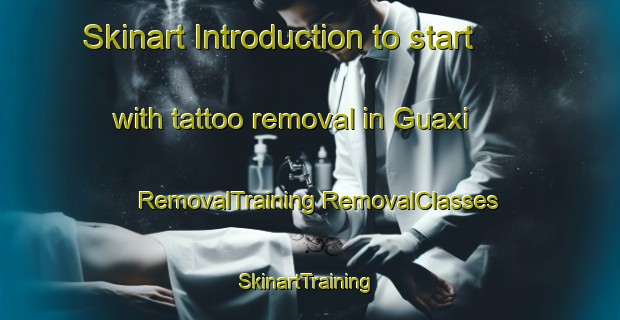 Skinart Introduction to start with tattoo removal in Guaxi | #RemovalTraining #RemovalClasses #SkinartTraining-Brazil