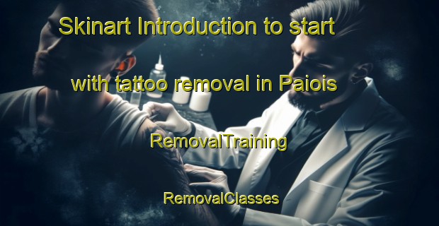 Skinart Introduction to start with tattoo removal in Paiois | RemovalTraining | RemovalClasses | SkinartTraining-Brazil