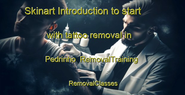 Skinart Introduction to start with tattoo removal in Pedrinho | RemovalTraining | RemovalClasses | SkinartTraining-Brazil