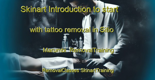 Skinart Introduction to start with tattoo removal in Sitio Marumbi | #RemovalTraining #RemovalClasses #SkinartTraining-Brazil