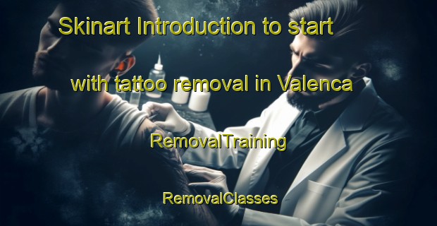 Skinart Introduction to start with tattoo removal in Valenca | RemovalTraining | RemovalClasses | SkinartTraining-Brazil