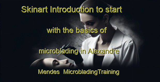 Skinart Introduction to start with the basics of microblading in Alexandre Mendes | MicrobladingTraining | MicrobladingClasses | SkinartTraining-Brazil