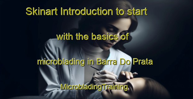 Skinart Introduction to start with the basics of microblading in Barra Do Prata | MicrobladingTraining | MicrobladingClasses | SkinartTraining-Brazil