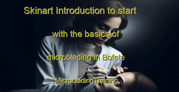 Skinart Introduction to start with the basics of microblading in Bofete | MicrobladingTraining | MicrobladingClasses | SkinartTraining-Brazil