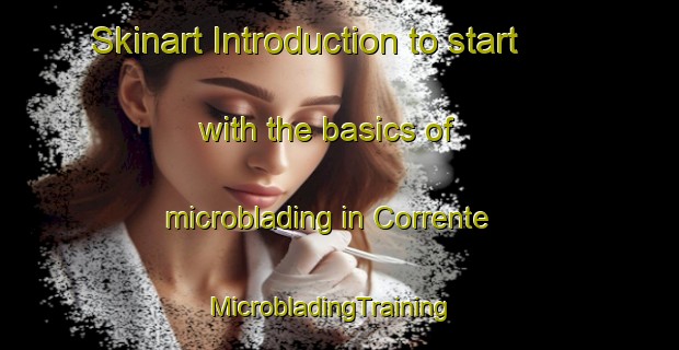 Skinart Introduction to start with the basics of microblading in Corrente | MicrobladingTraining | MicrobladingClasses | SkinartTraining-Brazil