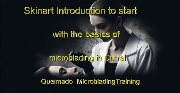 Skinart Introduction to start with the basics of microblading in Curral Queimado | MicrobladingTraining | MicrobladingClasses | SkinartTraining-Brazil