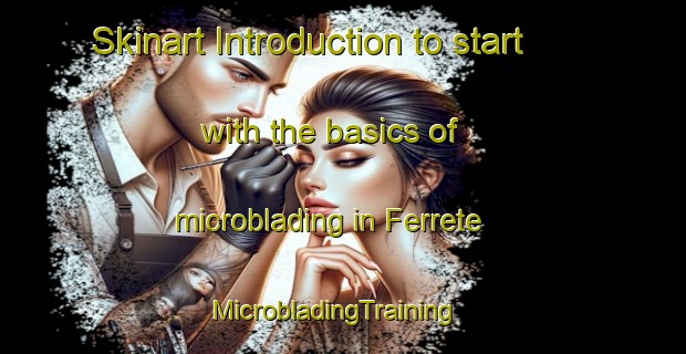 Skinart Introduction to start with the basics of microblading in Ferrete | MicrobladingTraining | MicrobladingClasses | SkinartTraining-Brazil