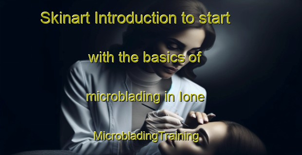Skinart Introduction to start with the basics of microblading in Ione | MicrobladingTraining | MicrobladingClasses | SkinartTraining-Brazil