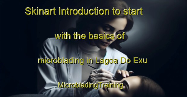 Skinart Introduction to start with the basics of microblading in Lagoa Do Exu | MicrobladingTraining | MicrobladingClasses | SkinartTraining-Brazil