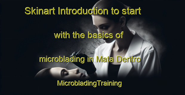 Skinart Introduction to start with the basics of microblading in Mata Dentro | MicrobladingTraining | MicrobladingClasses | SkinartTraining-Brazil