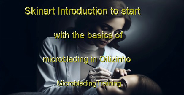 Skinart Introduction to start with the basics of microblading in Oitizinho | MicrobladingTraining | MicrobladingClasses | SkinartTraining-Brazil