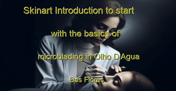 Skinart Introduction to start with the basics of microblading in Olho D Agua Das Flores | MicrobladingTraining | MicrobladingClasses | SkinartTraining-Brazil