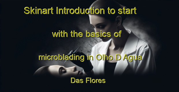 Skinart Introduction to start with the basics of microblading in Olho D Agua Das Flores | MicrobladingTraining | MicrobladingClasses | SkinartTraining-Brazil
