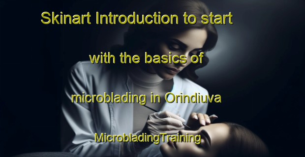 Skinart Introduction to start with the basics of microblading in Orindiuva | MicrobladingTraining | MicrobladingClasses | SkinartTraining-Brazil