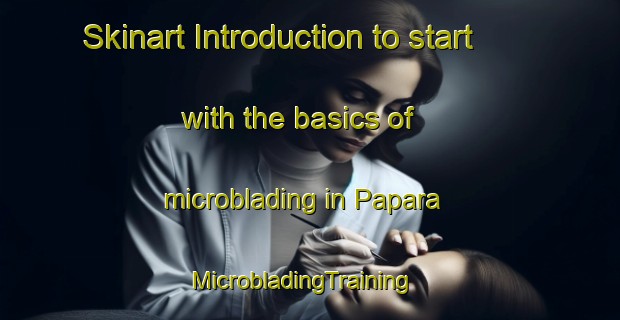 Skinart Introduction to start with the basics of microblading in Papara | MicrobladingTraining | MicrobladingClasses | SkinartTraining-Brazil