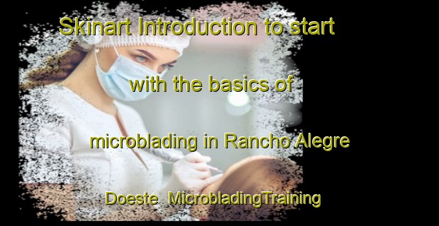 Skinart Introduction to start with the basics of microblading in Rancho Alegre Doeste | MicrobladingTraining | MicrobladingClasses | SkinartTraining-Brazil