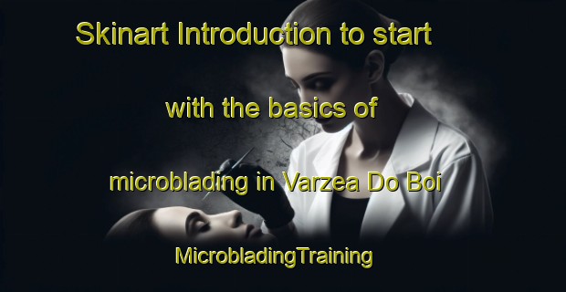 Skinart Introduction to start with the basics of microblading in Varzea Do Boi | MicrobladingTraining | MicrobladingClasses | SkinartTraining-Brazil