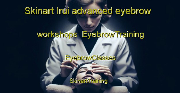 Skinart Irui advanced eyebrow workshops | EyebrowTraining | EyebrowClasses | SkinartTraining-Brazil