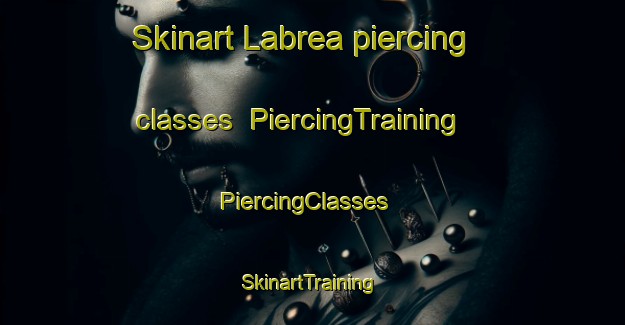 Skinart Labrea piercing classes | PiercingTraining | PiercingClasses | SkinartTraining-Brazil